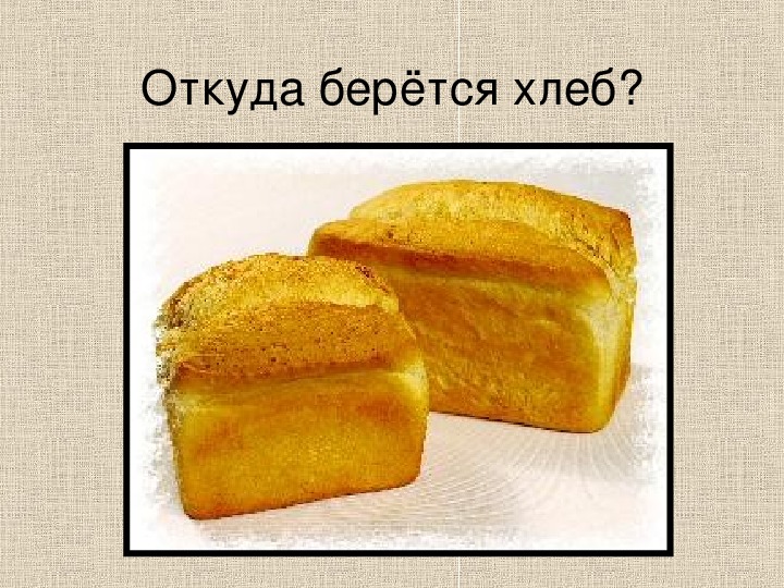 Откуда берется хлеб на нашем столе