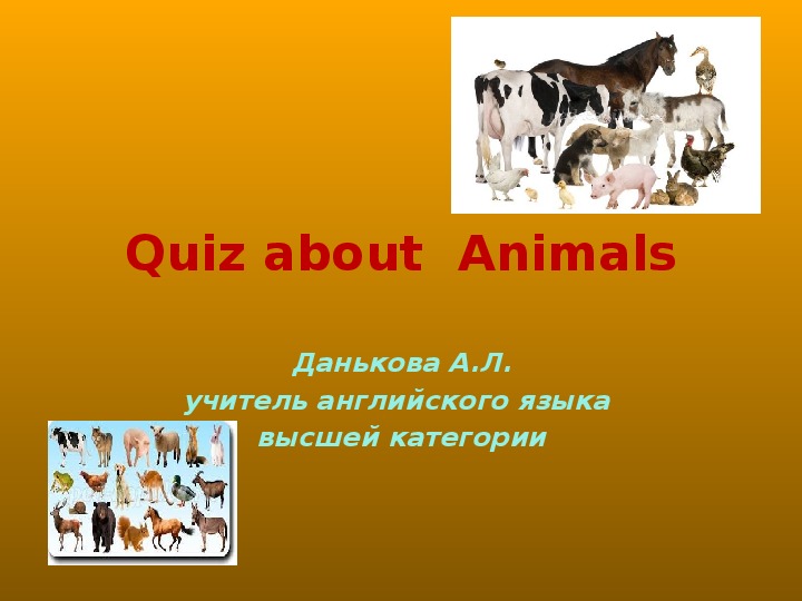 Презентация по английскому языку "Викторина о животных"