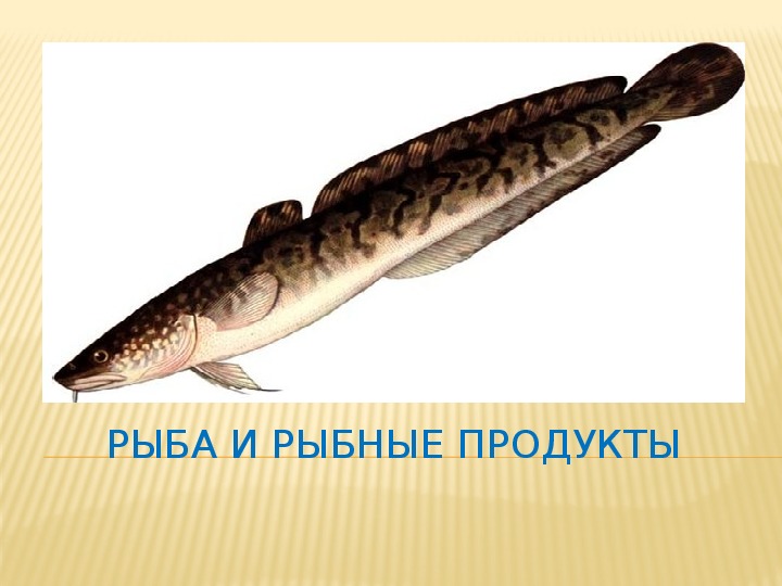 Презентация по предмету Физиология питания с основами товароведения продовольственных товаров на тему Рыба и рыбные продукты