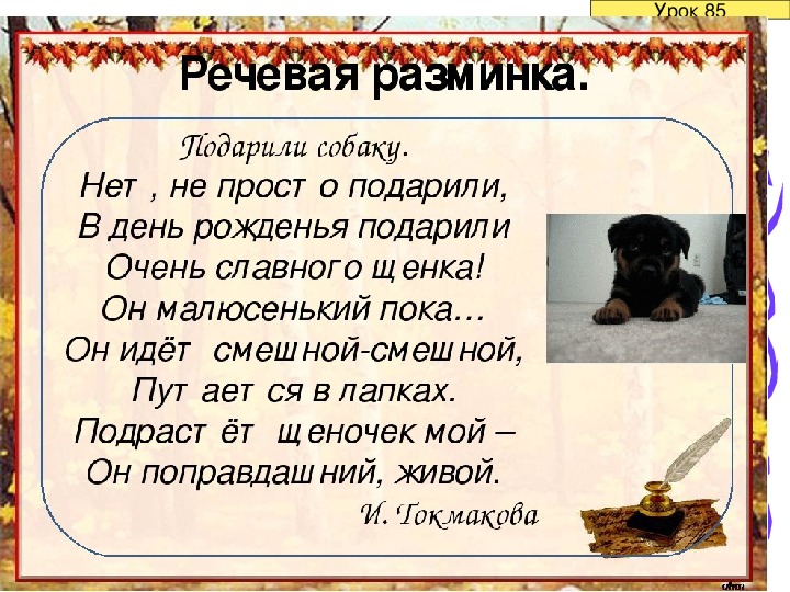 Подарите мне собаку песня. Подарили собаку нет не просто подарили. Речевая разминка про собаку. Речевая разминка подарили собаку. Стих подарили собаку.