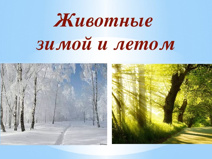 Презентация «Особенности жизни диких животных зимой в лесу»
