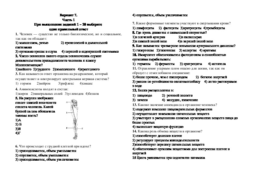 Диагностическая работа по биологии за курс 8 класса в форме и по материалам ОГЭ. Вариант 7.