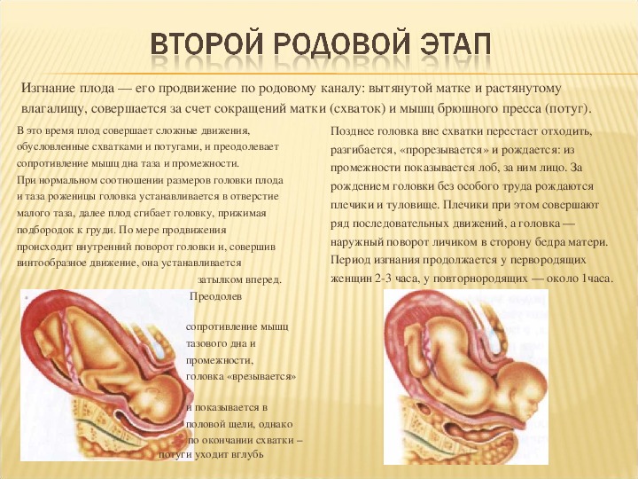 Во втором периоде родов происходит