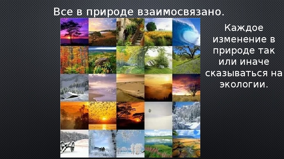 В природе все взаимосвязано. Рассказ на тему в природе все взаимосвязано. В природе всё взаимосвязано 3. Рисунок в природе все взаимосвязано.