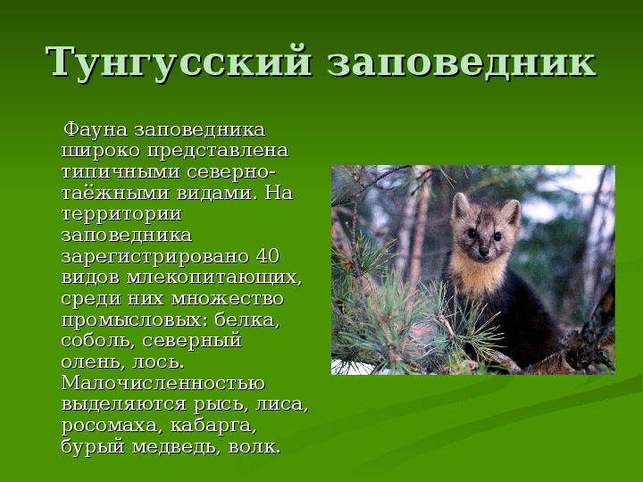 Имена заповедников. Животные заповедников России. Сообщение о заповеднике. Рассказ об одном заповеднике России кратко. Один заповедник России.