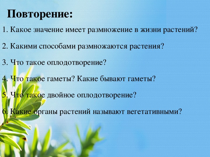 Жизнь растений 6 класс презентация