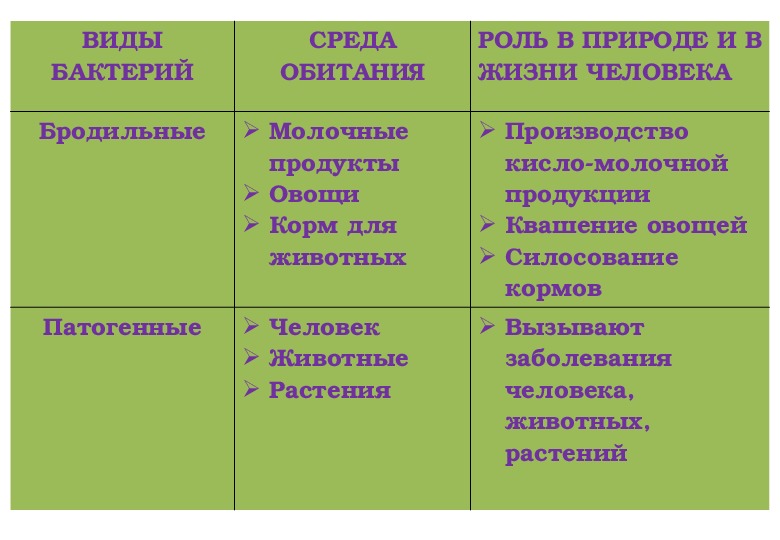 Презентация роль бактерий в природе и жизни бактерий