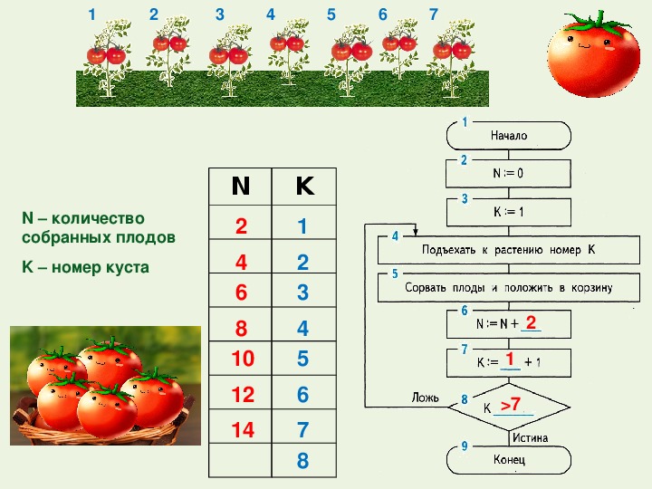 Собранные числа. Алгоритм с циклом 4 класс. Составление алгоритмов 4 класс с циклом. Информатика составить алгоритм посадки клубники. Алгоритмы по ИКТ 4 класс.