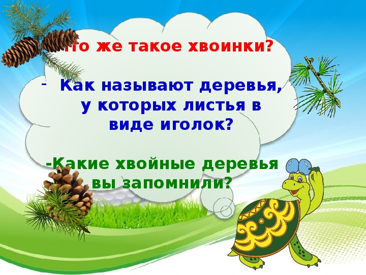 Что такое хвоинки 1 класс. Что такое хвоинки рабочий лист. Что такое хвоинки? 1 Класс по окружающему презентация. Презентация на тему что такое хвоинки 1 класс окружающий мир.