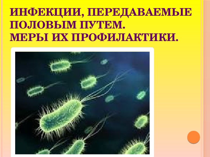 Инфекционные болезни передающиеся половым. Инфекции, передаваемые половым путём. Меры их профилактики. Инфекции передаваемые половым путем меры их профилактики. Инфекции передающиеся половымпутем и их профилактика ОБЖ.