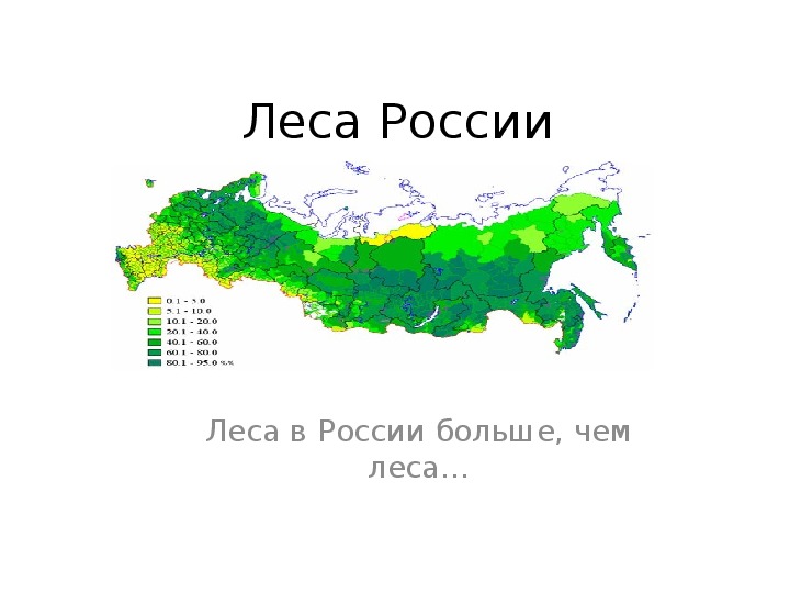 Подробная карта лесов россии