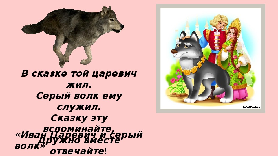 Описание серого волка. Загадки к сказке Иван Царевич и серый волк. Серый волк сказка. Герои сказки Иван Царевич и серый волк. Загадка про сказочного волка.