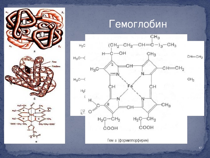 Гемоглобин презентация по химии