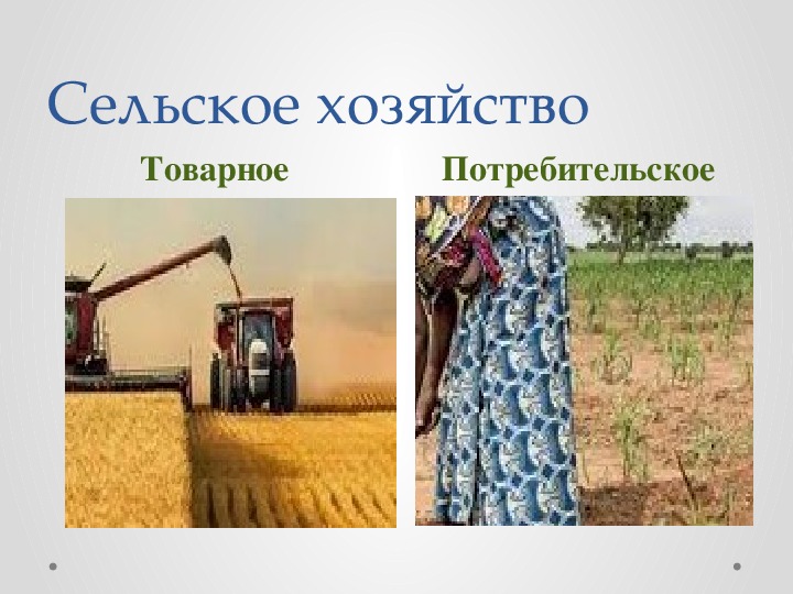 Мировое сельское хозяйство 10 класс. Сельское хозяйство 10 класс.