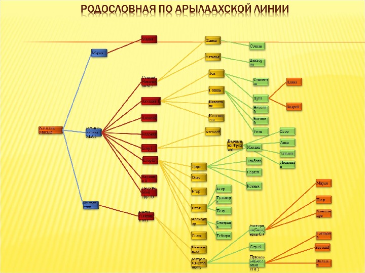 Родословная 4