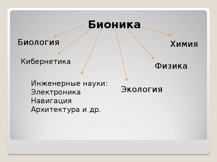 Прикладные биологические. Связь бионики с другими науками. Бионика презентация. Прикладная биология. Прикладные науки.