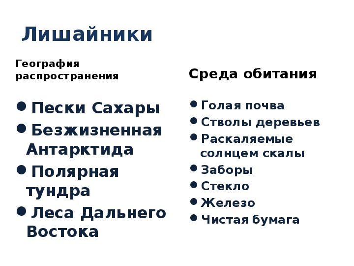 Место обитания лишайников. Среда обитания лишайников. Лишайники приспособленность к среде обитания. Приспособленность лишайников к среде обитания. Среда обитания лишайников 5 класс.