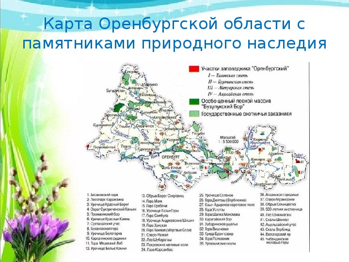 Единая карта оренбуржца - 81 фото