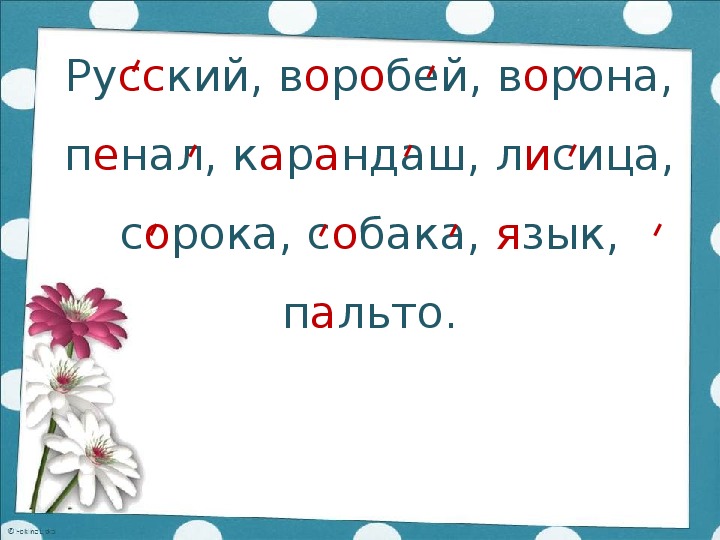 Сколько звуков в слове воробей