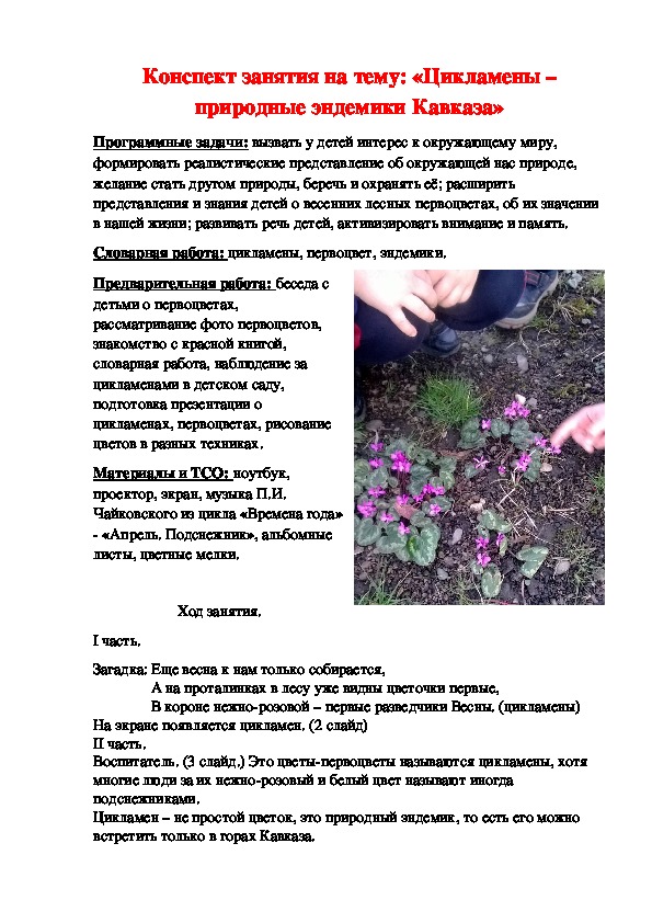 Конспект занятия в стпршей группе на тему "Изучаем первоцветы Кавказа. Цикломены."