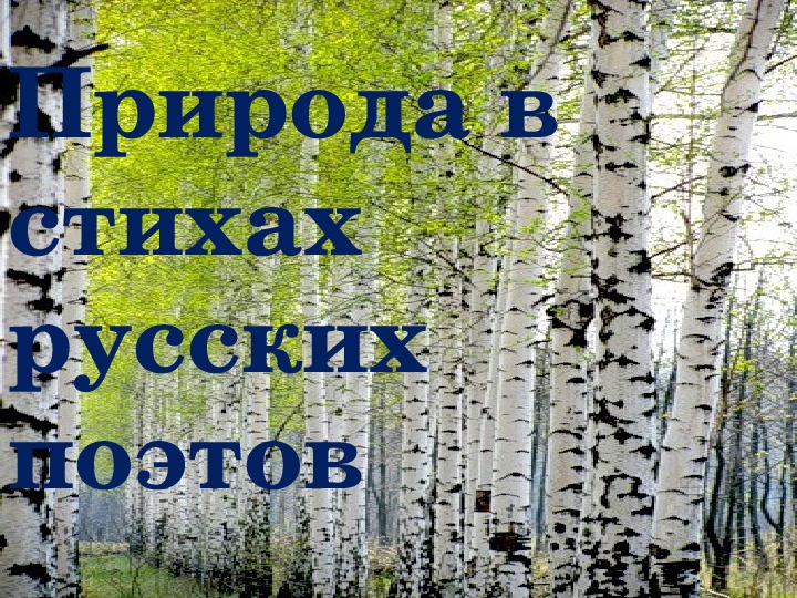Презентация "Природа в стихах русских поэтов"(литература - 6 класс)