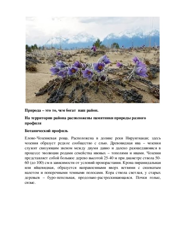 Проект "Разнообразие природы Каларского района Забайкальский край" 3 класс,забайкаловедение