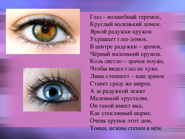 Глаза поэзия. Стихотворение про глаза для детей. Стих про разные цвета глаз. Глаз орган. Стихи про глаза короткие.