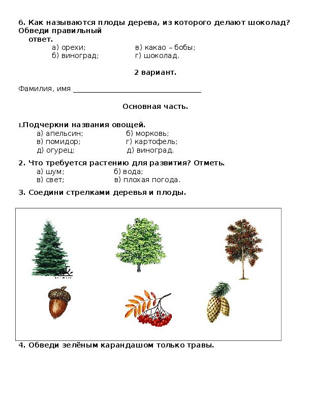 Проверочная работа по окружающему миру 1 класс