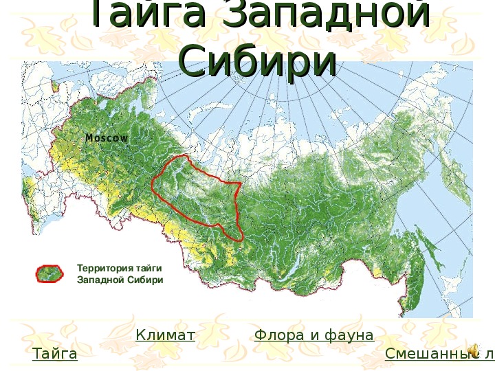 Восток сиблес проект