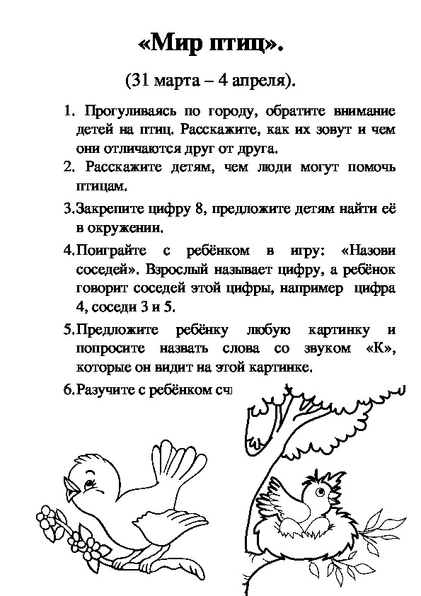 Обложка для материала Информация для родителей по теме: "Мир птиц" (средняя группа)