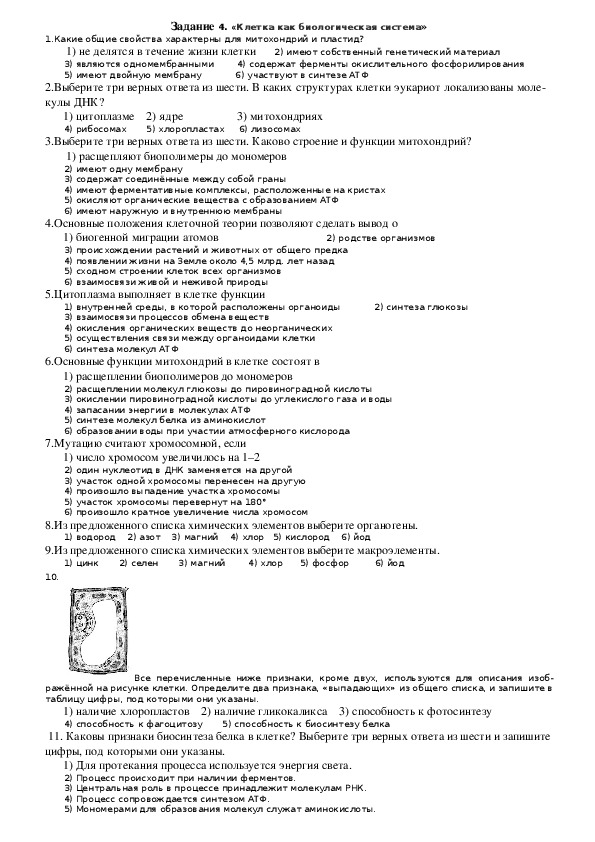 ЕГЭ. Биология. Задание 4 «Клетка как биологическая система»