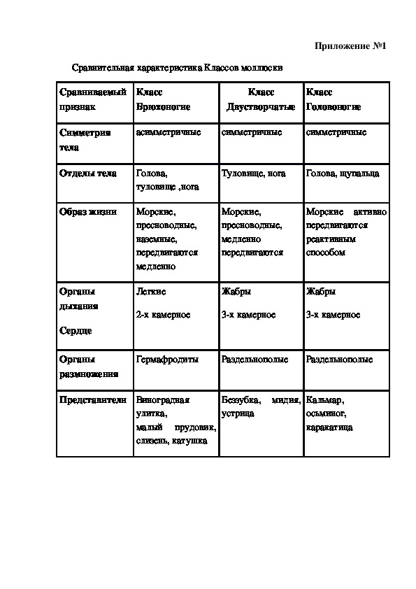 Тип моллюски таблица 7 класс. Таблица классы моллюсков 7 класс биология. Брюхоногие двустворчатые головоногие таблица. Характеристика типа моллюски таблица.