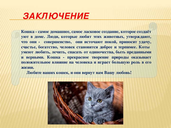 Рассказ о кошках окружающий мир. Проект про кошек. Сообщение на тему кошка. Презентация о домашней кошке. Доклад о котах.