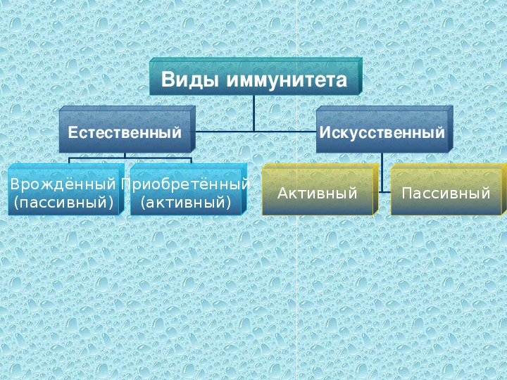 Иммунитет биология