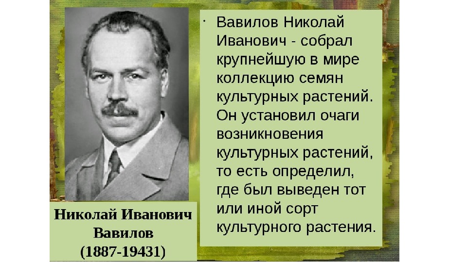 Презентация на тему историческое развитие растительного мира