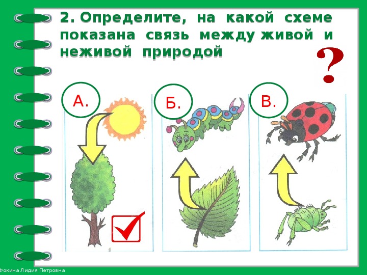 Связь между растениями