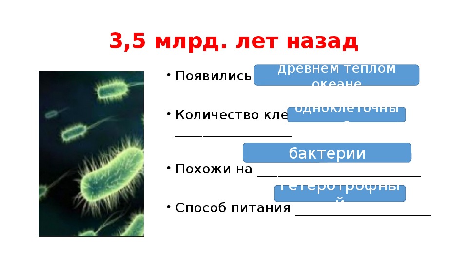 Презентация на тему историческое развитие растительного мира