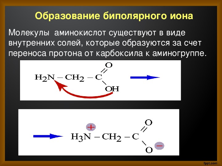 Презентация на тему амины 10 класс химия