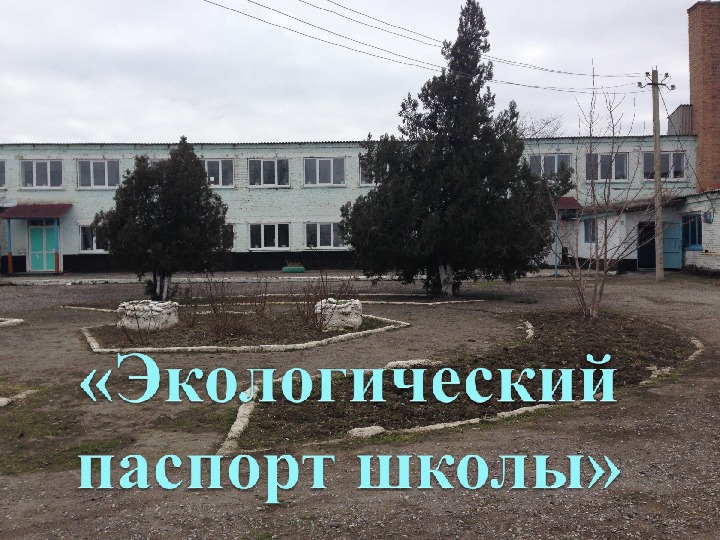 Тема: «Экологический паспорт Красновосходской школы» 11 класс