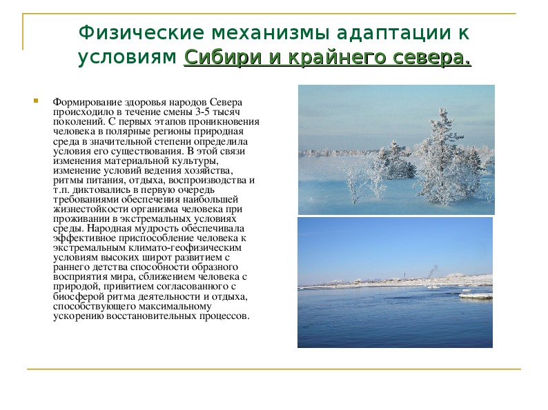 Презентация по предмету "Природа и экология Красноярского края"(8класс