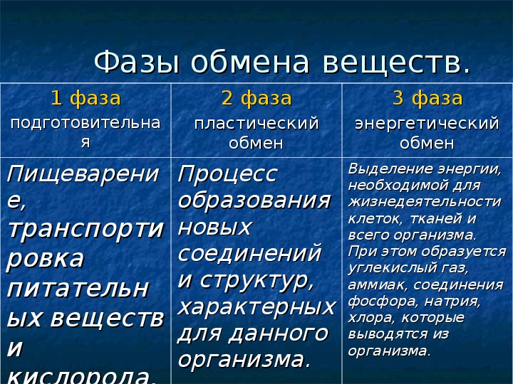 Обмен веществ 9 класс конспект