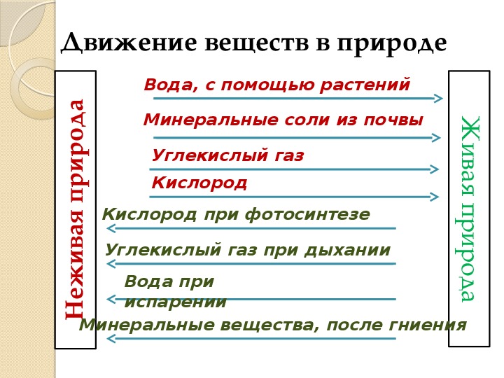 Презентация по биологии 5 класс природные сообщества