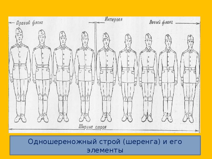 На рисунке определите где колонна а где шеренга