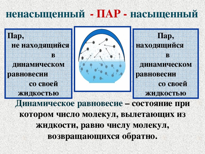 Испарение и конденсация в живой природе проект