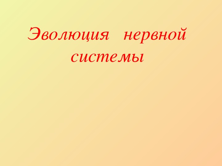 Презентация по биологии 6 класс "Эволюция нервной системы живых организмов".