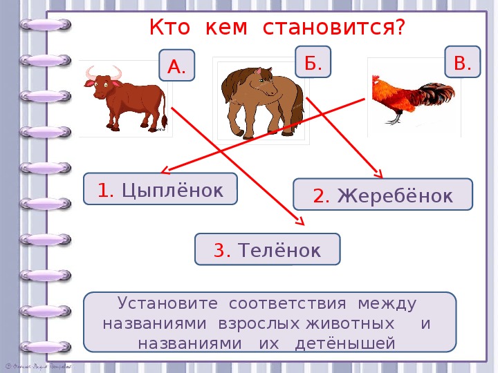 Кто кем становится