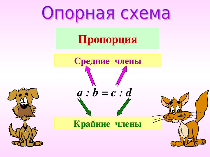 Презентация 6 класс