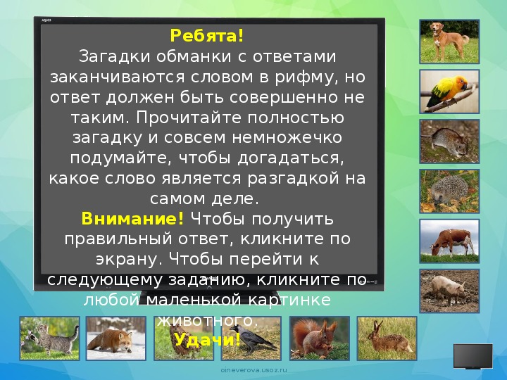 Определите какое животное. Загадки обманки про природу. Загадки обманки про лису.