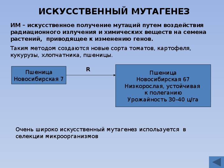 Искусственный мутагенез