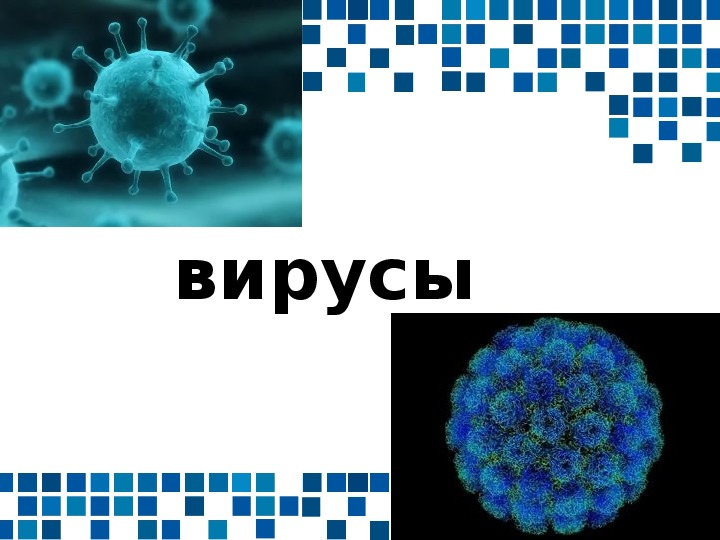 Вирусы 9 класс биология